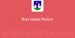 Brzi zajam Našice