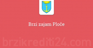 Brzi zajam Ploče